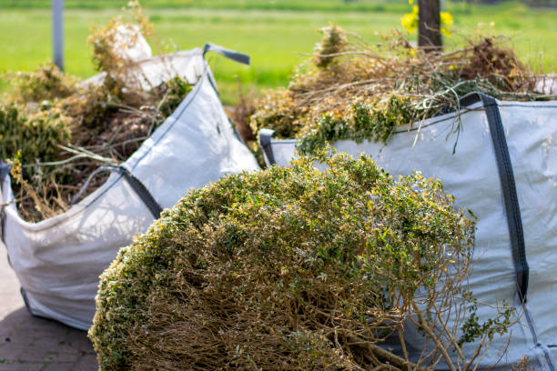 Best Furniture Removal  in Lewisport, KY